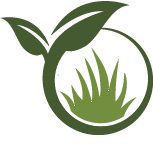 Fall Lawn Reseeding Pros