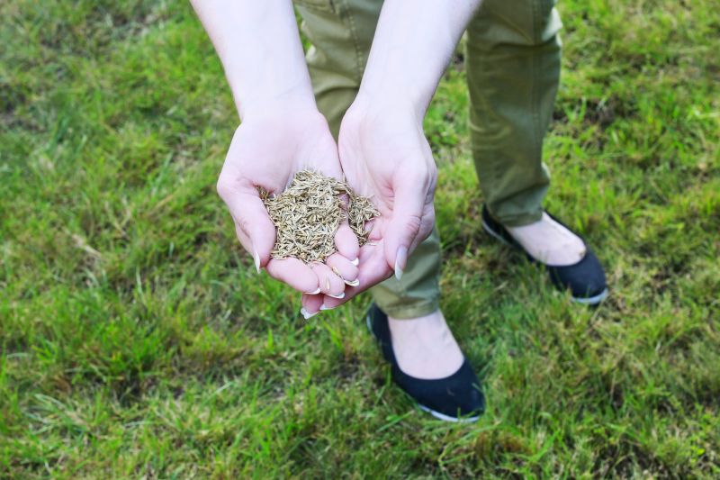 Fall Lawn Reseeding