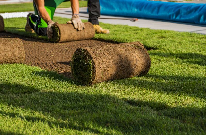 Lawn Sodding in Honolulu, HI