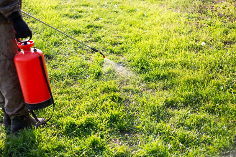 Lawn Weed Spraying in Aiken, SC