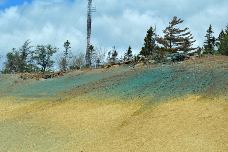 Slope Hydroseeding in Ventura County, CA