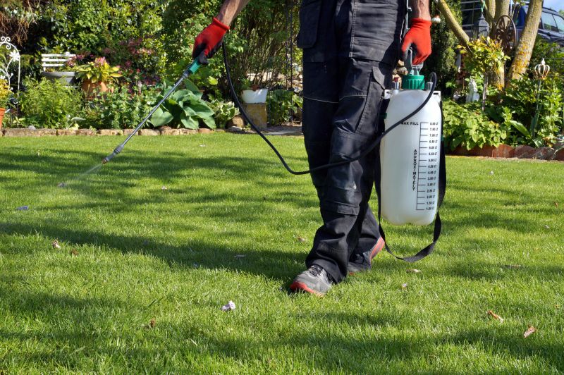 Slope Weed Control in Ventura County, CA