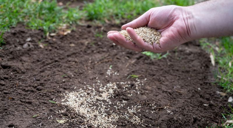 Turf Seeding in Ventura County, CA