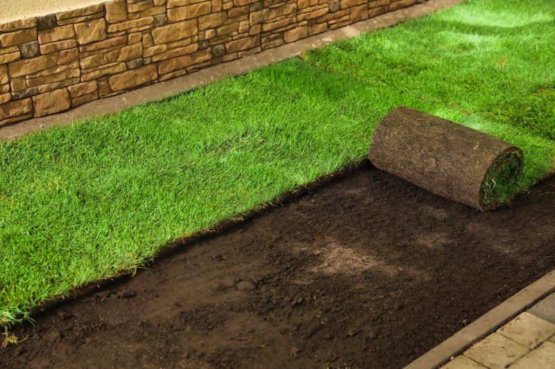 Turfing Service in Ventura County, CA