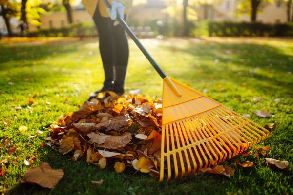 Fall Lawn Repair